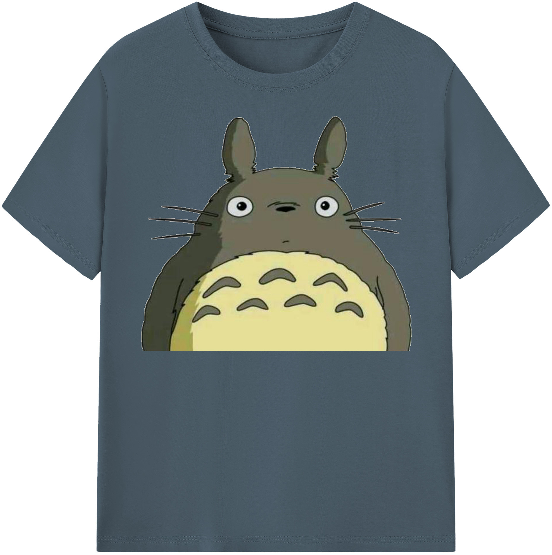 （画像用） となりのトトロ 草壁メイ 草壁サツキ My Neighbor Totoro Satsuki Kusakabe Mei Kusakabe 綿100％半袖Tシャツ（フロントプリント）